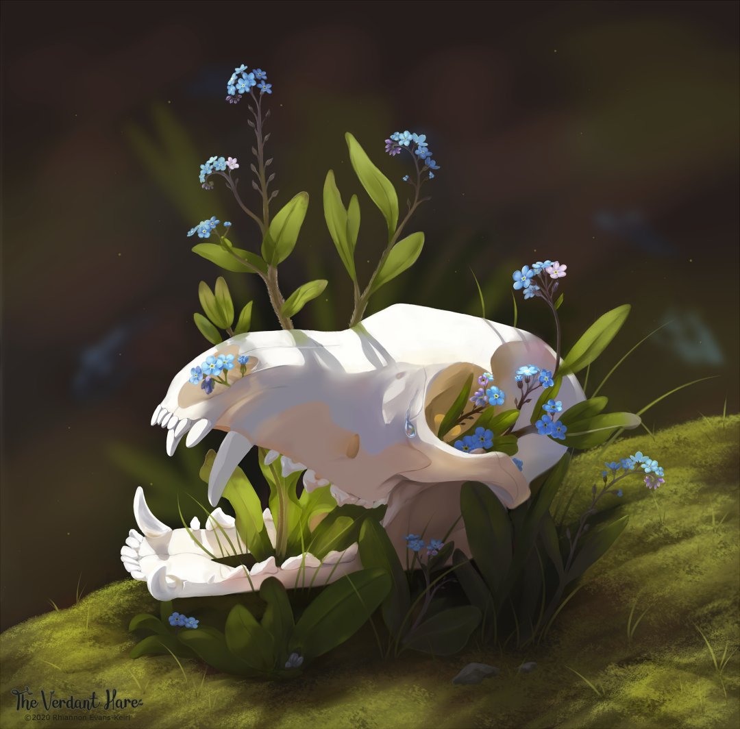 Artists show your most popular piece!
🌿🌱🦊
Still a fav!