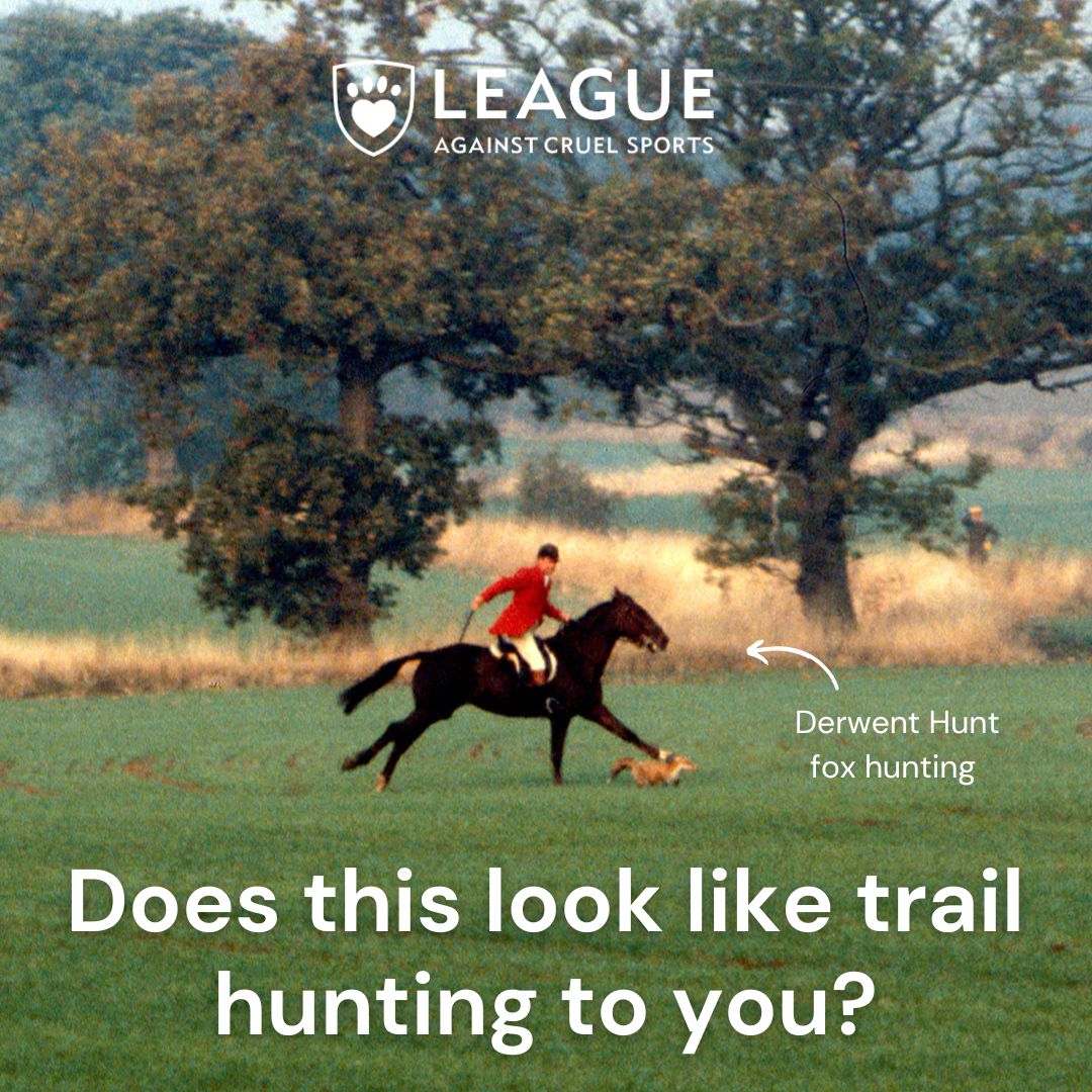 League Against Cruel Sports tweet media