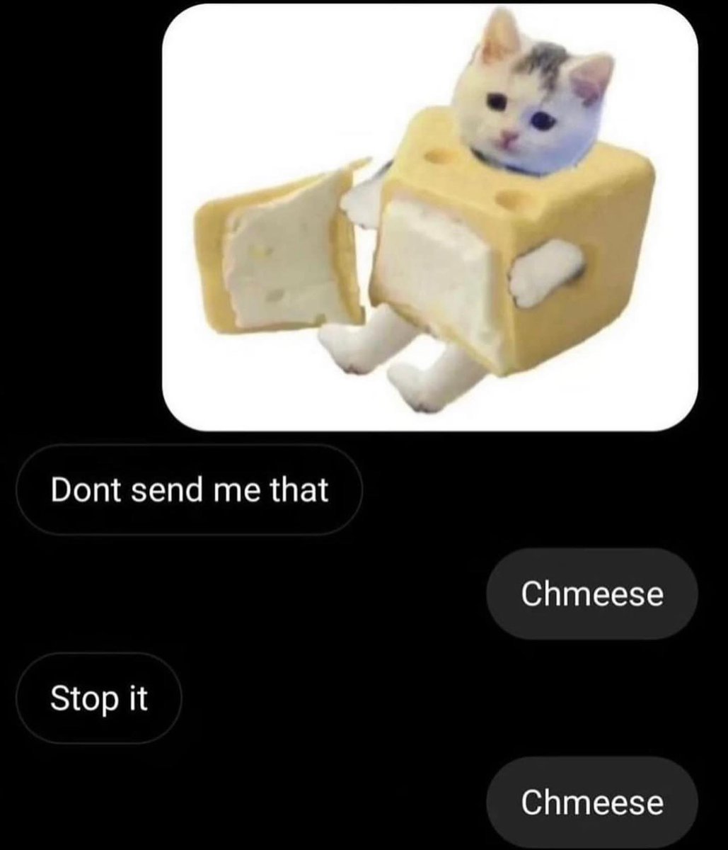 PunchingCat tweet picture