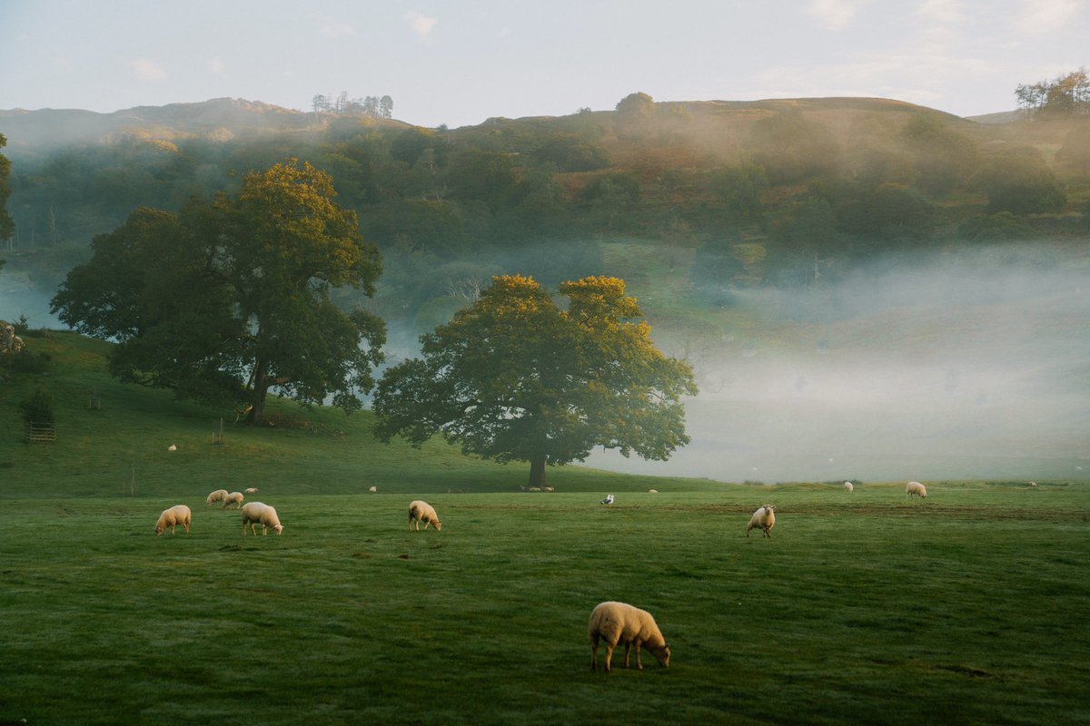 Daniel Casson tweet media