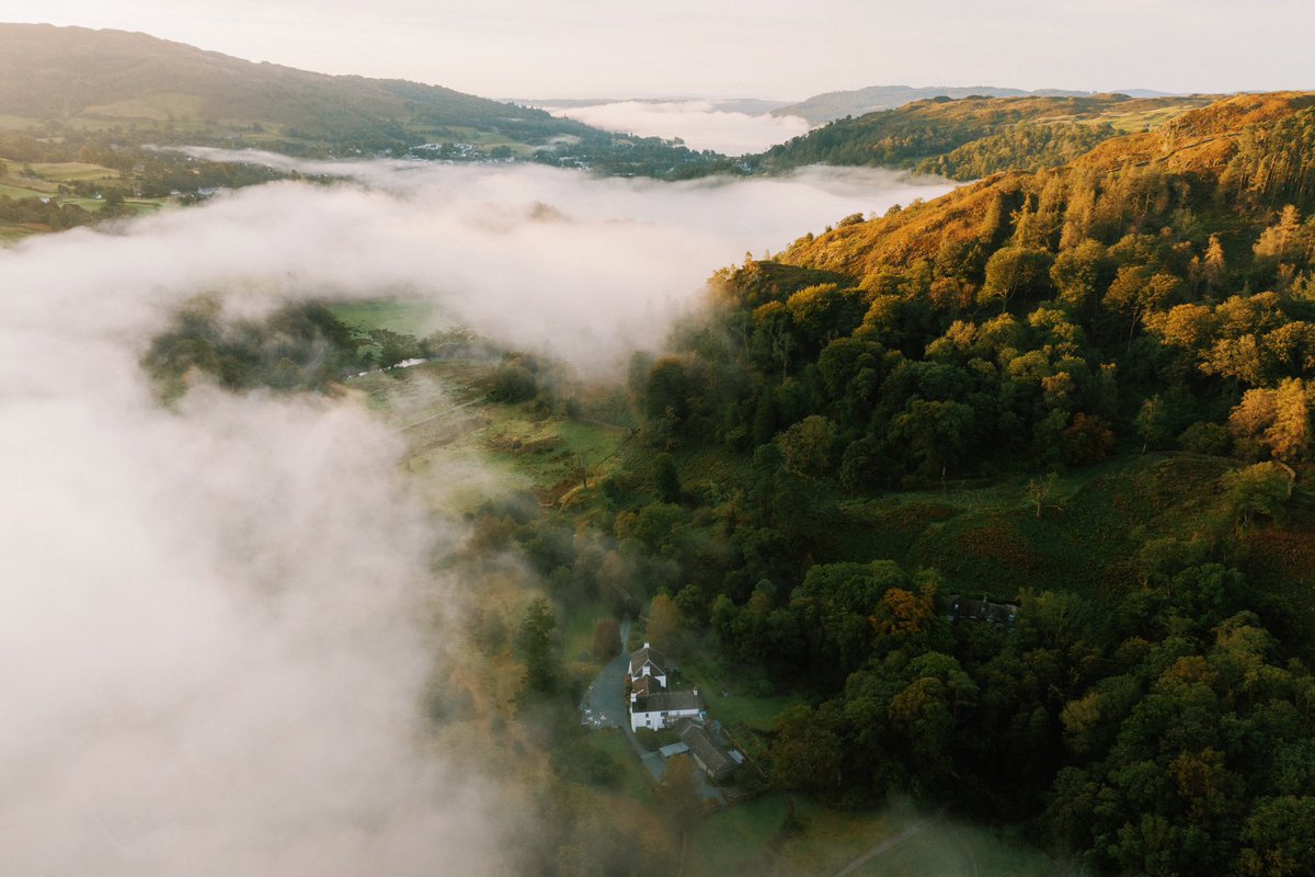 Daniel Casson tweet media