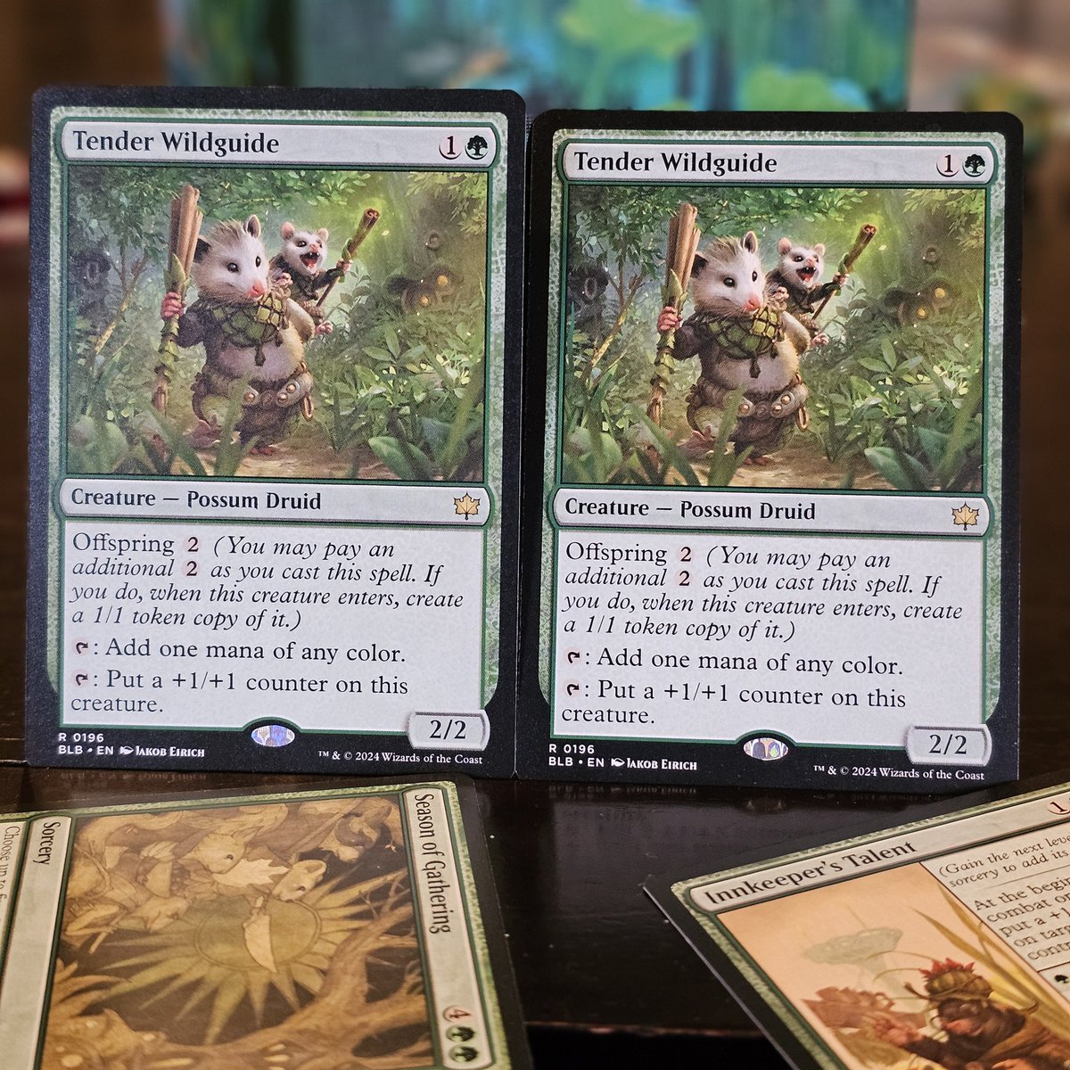 remropp's tweet image. I didn't win the draft, but I definitely won.