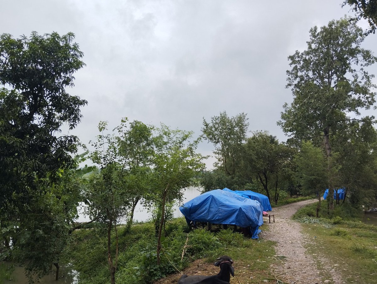 RAMESH_GAUTAaM's tweet photo. Flooding and inundation are major issues in most of the Terai region. As first responders, the proactiveness for disseminating risk  message and resource management by the CDMC during and after a disaster are crucial for  minimizing loss of property &amp; life @ZCRAlliance @Nepal_PA https://t.co/BzW0IMusK7