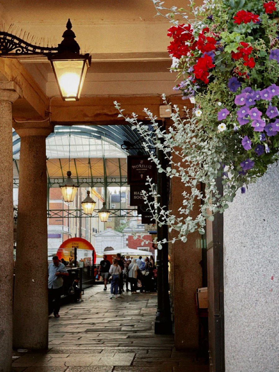 Wisavdong's tweet photo. #London #Life #citywalk
📷 Dazz GRDR  Walk from Leicester Square through Covent Garden to Trafalgar Square before sunset. London is one of the cities most suitable for citywalk https://t.co/y6kCUdbq2k