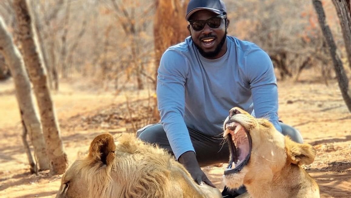 Samalabi5's tweet photo. Majestic, dreadful, fearless, fierce... that's how to describe a lion. And yes that's trippled with every extra one.

And no, the pictures are no photoshop, today I had the opportunity to touch these majestic pair in their natural habitant! And  yes, the thrill was great!! https://t.co/9Wlg3RipGl