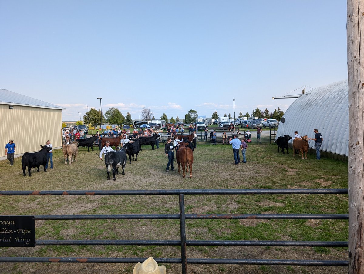 Beautiful day at the New Liskeard Fall Fair market class.