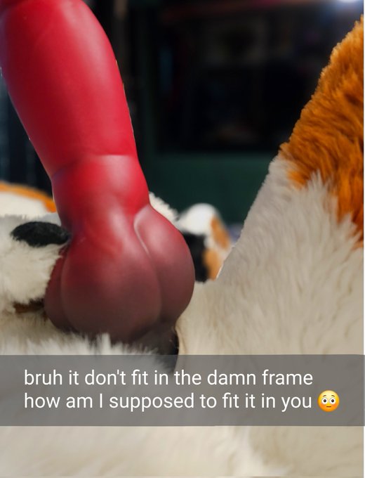 🔞1-800-🅱️RK-ALOT🔞 - Your berner buddy sends an unexpected pic. Reply? #nsfw https://t.co/l0pyjSYJnF