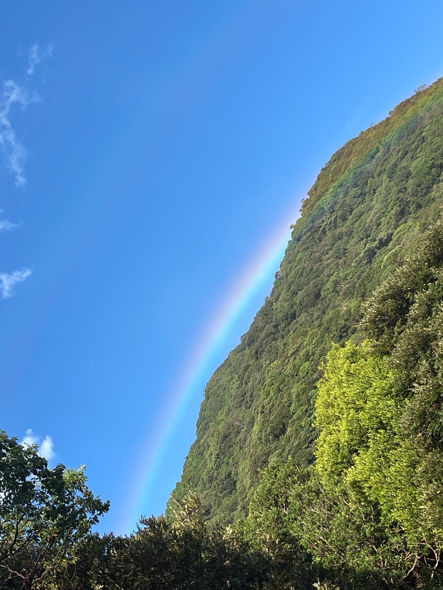 LitsukoM's tweet photo. 虹🌞朝陽の祝福を感じる毎日

ありがとう https://t.co/pB9QLilX5o