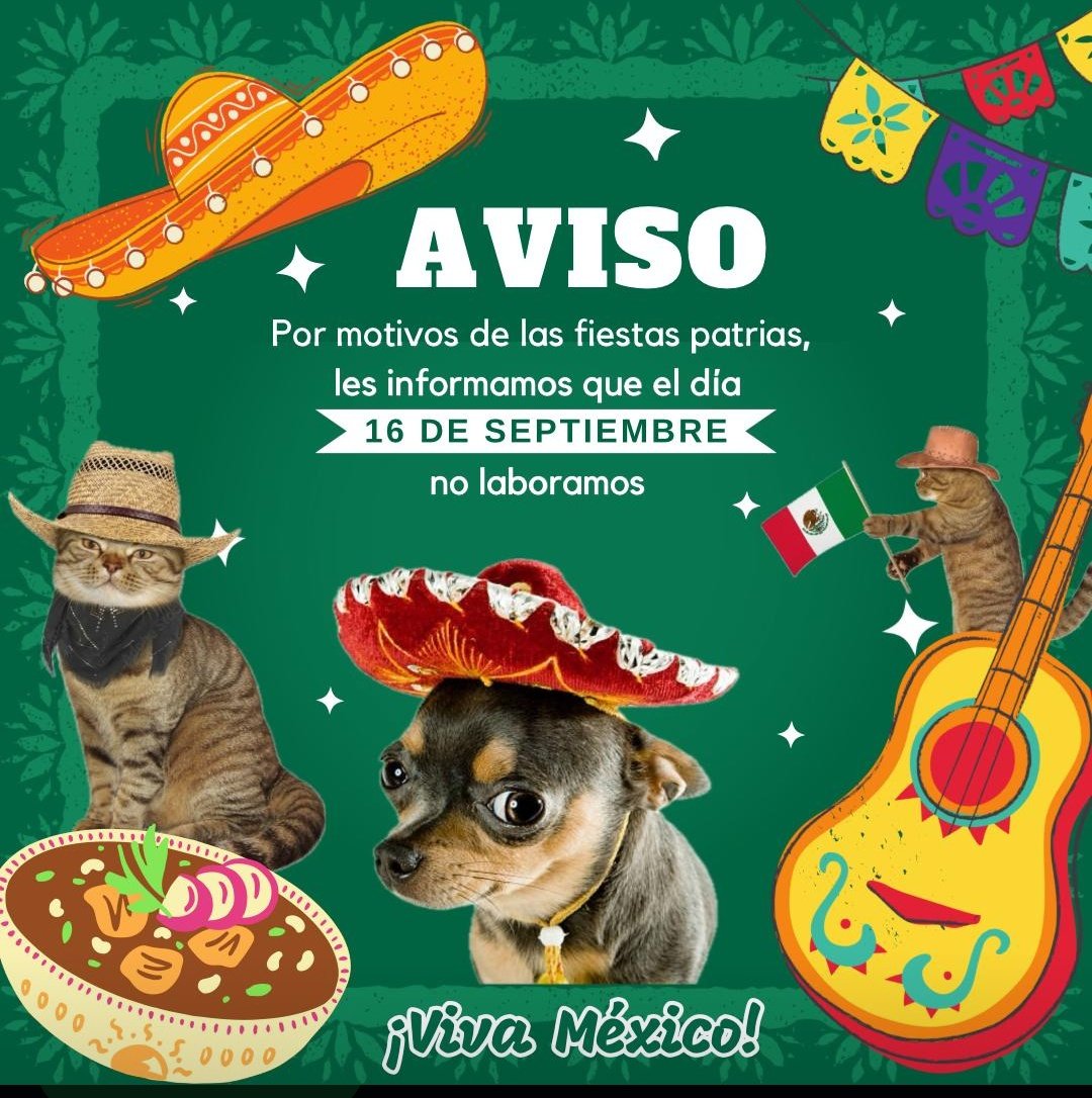 Que magia el aviso de la veterinaria jajajaja