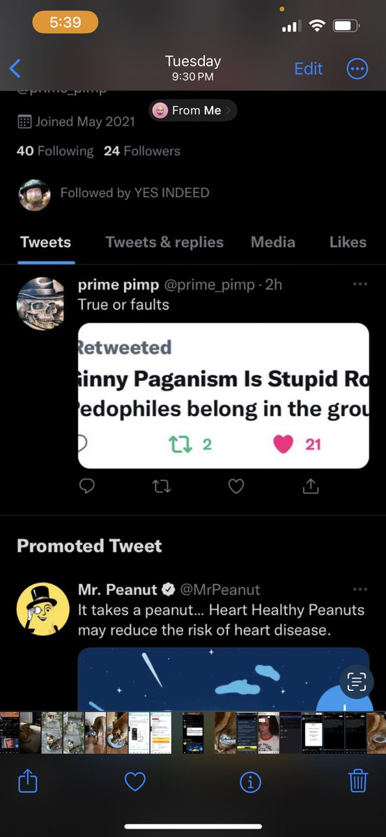 Gio 🐛 tweet media