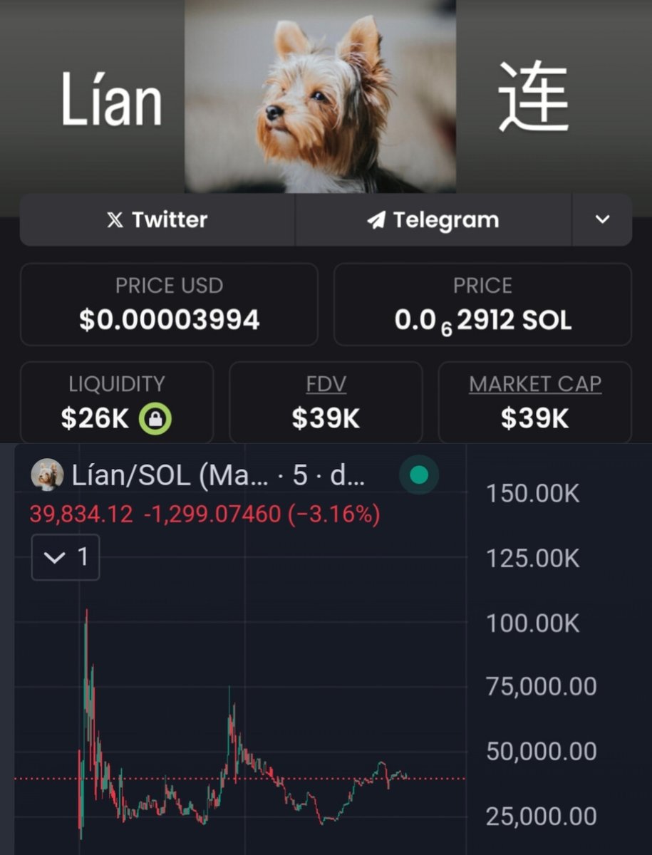 What if @kzresearch5 knows more about $LIAN than anyone else?

#meme #MOONSHOT #Meteora