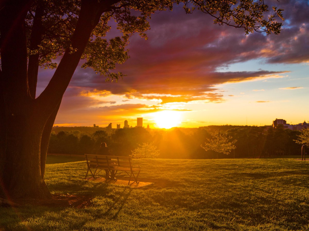 hera_Anelia's tweet photo. Schenely Park SUNSET🌞 Pittsburgh,PA...! 📸🥀
#schenelypark #Pittsburgh https://t.co/tOkYeSNm1L