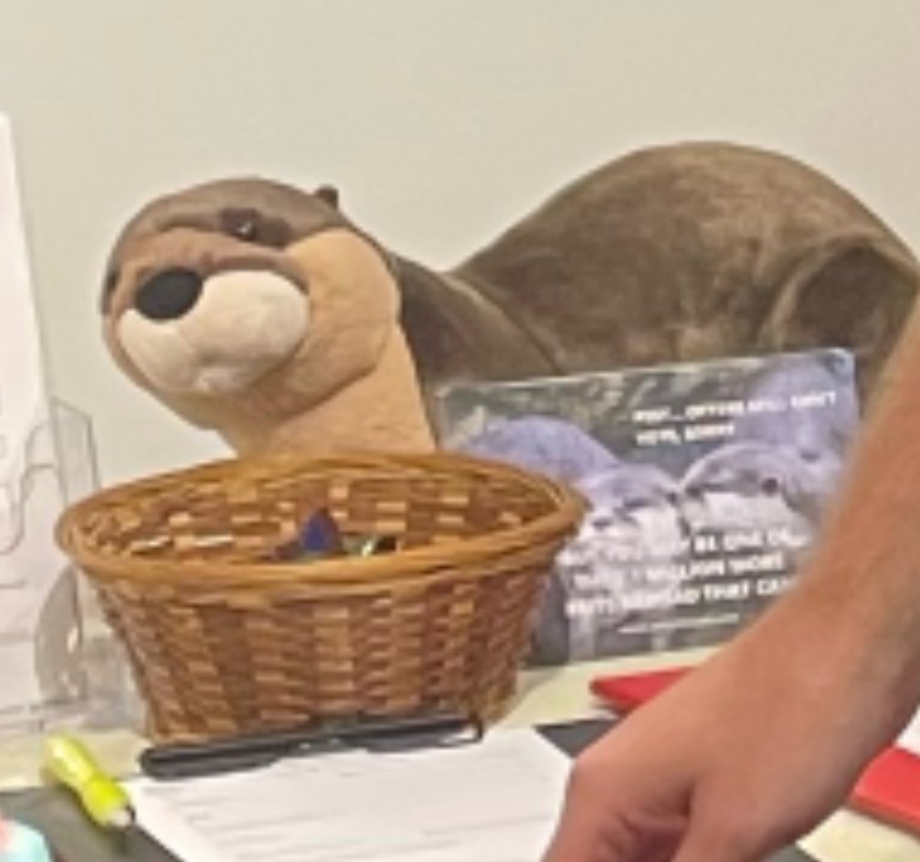 Biotic Warlock 🖤🤍💜 tweet media