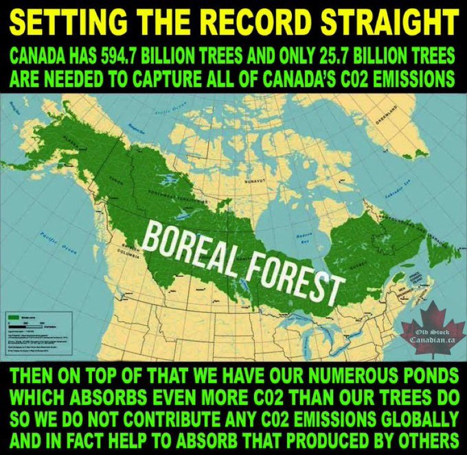 TheBuckYouWill's tweet photo. THERE IS NO CLIMATE CRISIS IN CANADA.

But there IS an idiot crisis. 

And I'm afraid there is no easy fix for stupid. https://t.co/jletkJeNHF