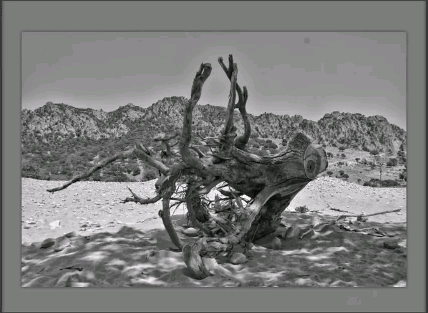 𝔇𝔬𝔄𝔤_ 𝔞ℜ𝔱 tweet media