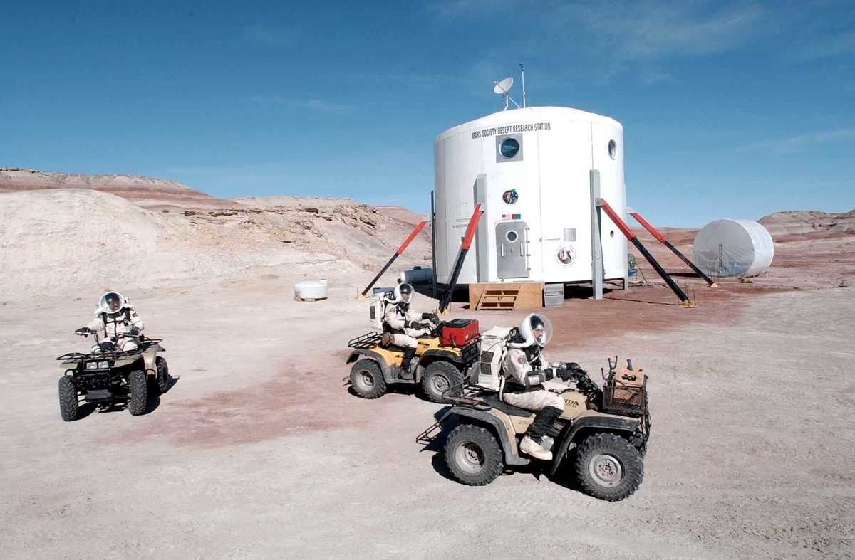 Diane Hope tweet media