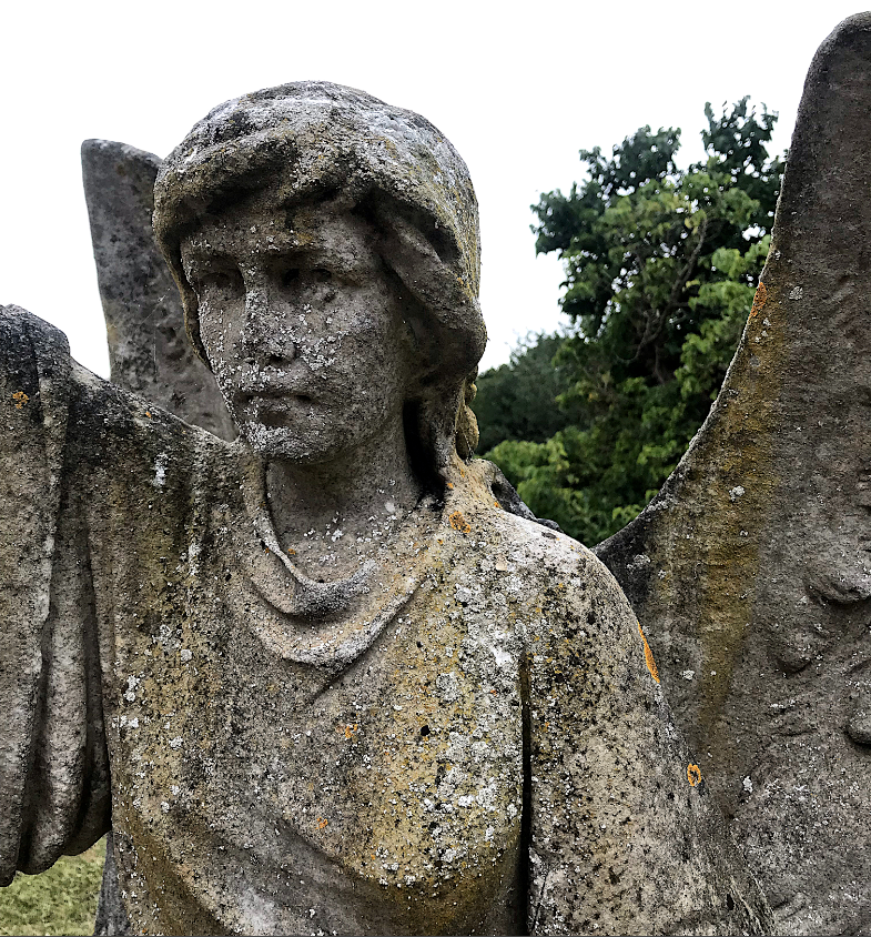 Hookland tweet media