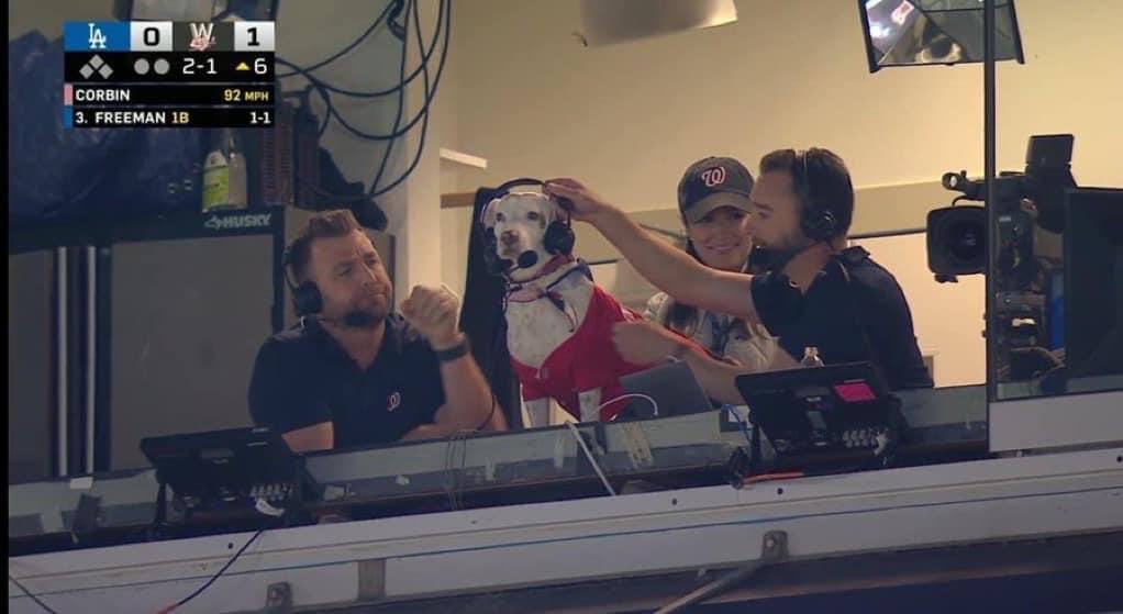 DiloConPerritos's tweet photo. En un partido de baseball ⚾️ se metió un perrito y en lugar de correrlo, los comentaristas lo pusieron a narrar el partido 🐶 https://t.co/5eyuXCFsV4