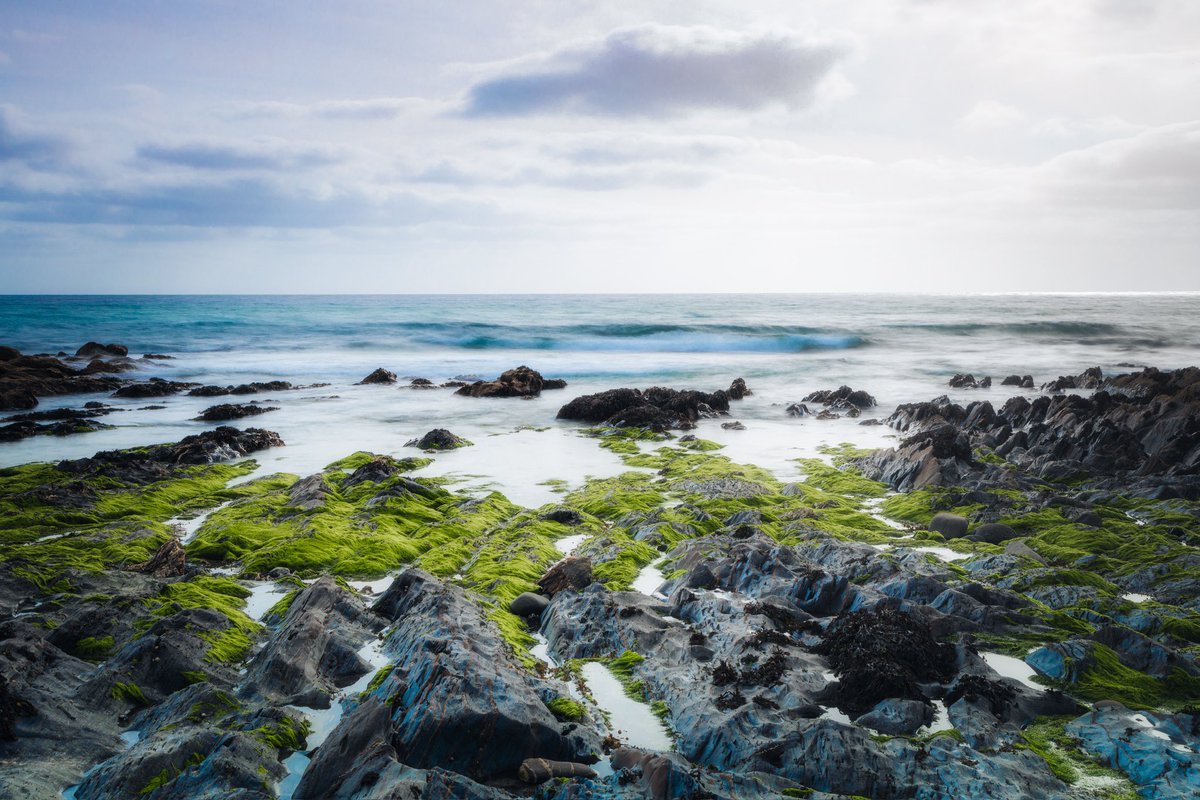 Dollar Cove at Gunwalloe in Cornwall. 
#cornwall #photography #landscapephotography #seascapephotography