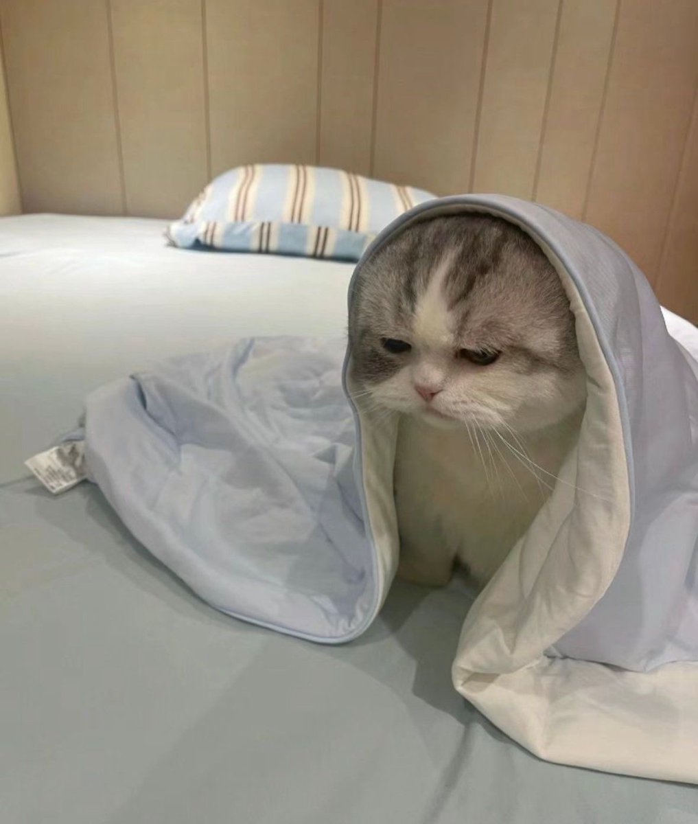 iamrababit's tweet image. j always breaks your heart 🫧 chapter 11 - “ดื้อก็ไม่ต้องมารัก” #ถึงพันดาว peachhplease.readawrite.com/c/7179aa53d78f…