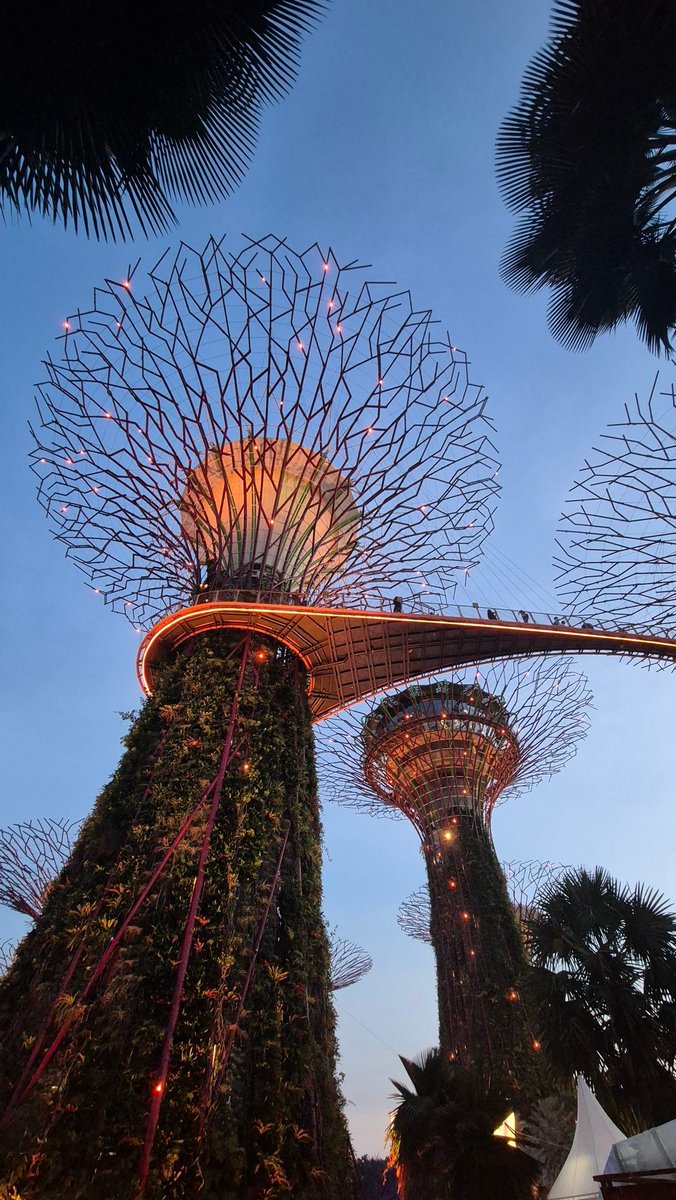 Nothing to see here, just a beautiful photo of Gardens by the Bay in Singapore. 🌴🪻

Enjoy your weekend friends and we'll see you at <a href="/SolanaConf/">Solana Conference</a> in 5 days!

Get ready for some alpha and amazing merch. 😉