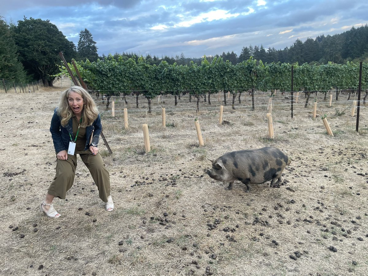Kathryn Ackerman (@drkateackerman) on Twitter photo Thank you, <a href="/GSUN_Network/">GSUN The Global Sport University Network</a>, <a href="/uoregon/">University of Oregon</a>, <a href="/WuTsaiAlliance/">Wu Tsai Human Performance Alliance</a> for a great few days in Oregon to discuss how we can advance sports science research and advocacy for diverse populations here and abroad. The ideas, company, food & drink, and laughs were top notch! #vineyardpigs #vineyardshoes Thank you, <a href="/GSUN_Network/">GSUN The Global Sport University Network</a>, <a href="/uoregon/">University of Oregon</a>, <a href="/WuTsaiAlliance/">Wu Tsai Human Performance Alliance</a> for a great few days in Oregon to discuss how we can advance sports science research and advocacy for diverse populations here and abroad. The ideas, company, food & drink, and laughs were top notch! #vineyardpigs #vineyardshoes