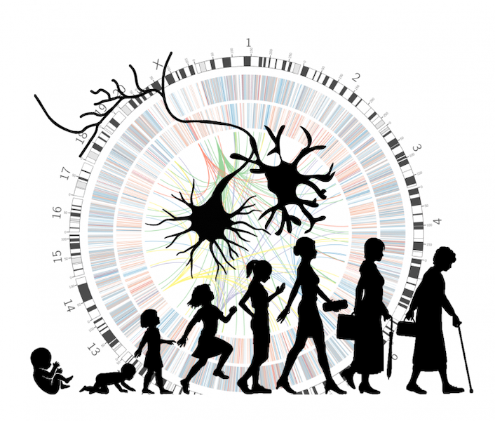 Asilomar Chromatin (@asilomarchroma) on Twitter photo Excited to announce Dr. Annie Vogel Ciernia <a href="/AVogelCiernia/">Annie Vogel Ciernia</a> <a href="/UBC/">University of British Columbia</a> will join us as a keynote speaker for 46th International Annual Asilomar #Chromatin, #Chromosomes, & #Epigenetics Conference Dec 12-15, 2024! Join us! Abstracts due Oct 15 asilomarchromatin.com #AsilomarChromatin Excited to announce Dr. Annie Vogel Ciernia <a href="/AVogelCiernia/">Annie Vogel Ciernia</a> <a href="/UBC/">University of British Columbia</a> will join us as a keynote speaker for 46th International Annual Asilomar #Chromatin, #Chromosomes, & #Epigenetics Conference Dec 12-15, 2024! Join us! Abstracts due Oct 15 asilomarchromatin.com #AsilomarChromatin