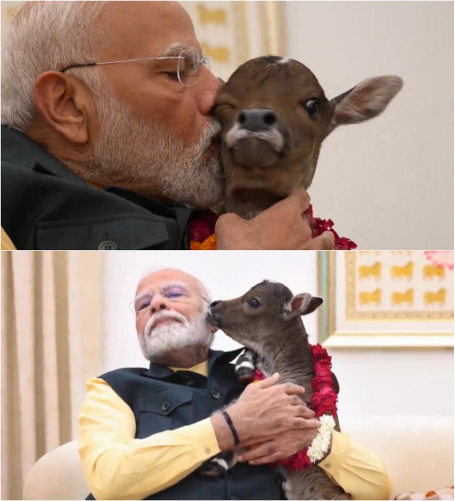 Ashishpatelbjym's tweet photo. One of the cutest picture on internet 😍❤️
#NarendraModi #kalyanmarg #PMModi #worldleader #bharat #india #twitter
#cutepicture #ThalapathyVijay #Thalapathy69Day #Binance #Crypto #KamlaHarris https://t.co/pNdPoypt39