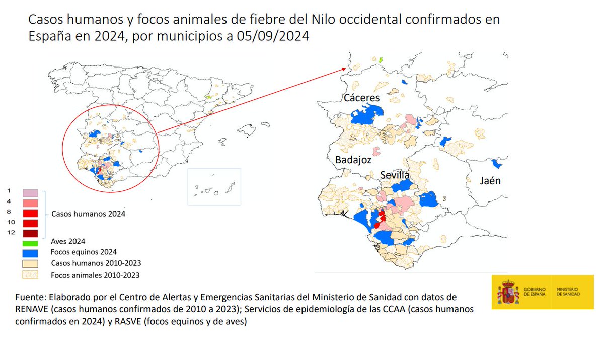 guerreroespejo's tweet image. La enfermedad causada por el #virus del #Nilo Occidental, un problema de salud pública en España
👇
sanidad.gob.es/areas/alertasE…