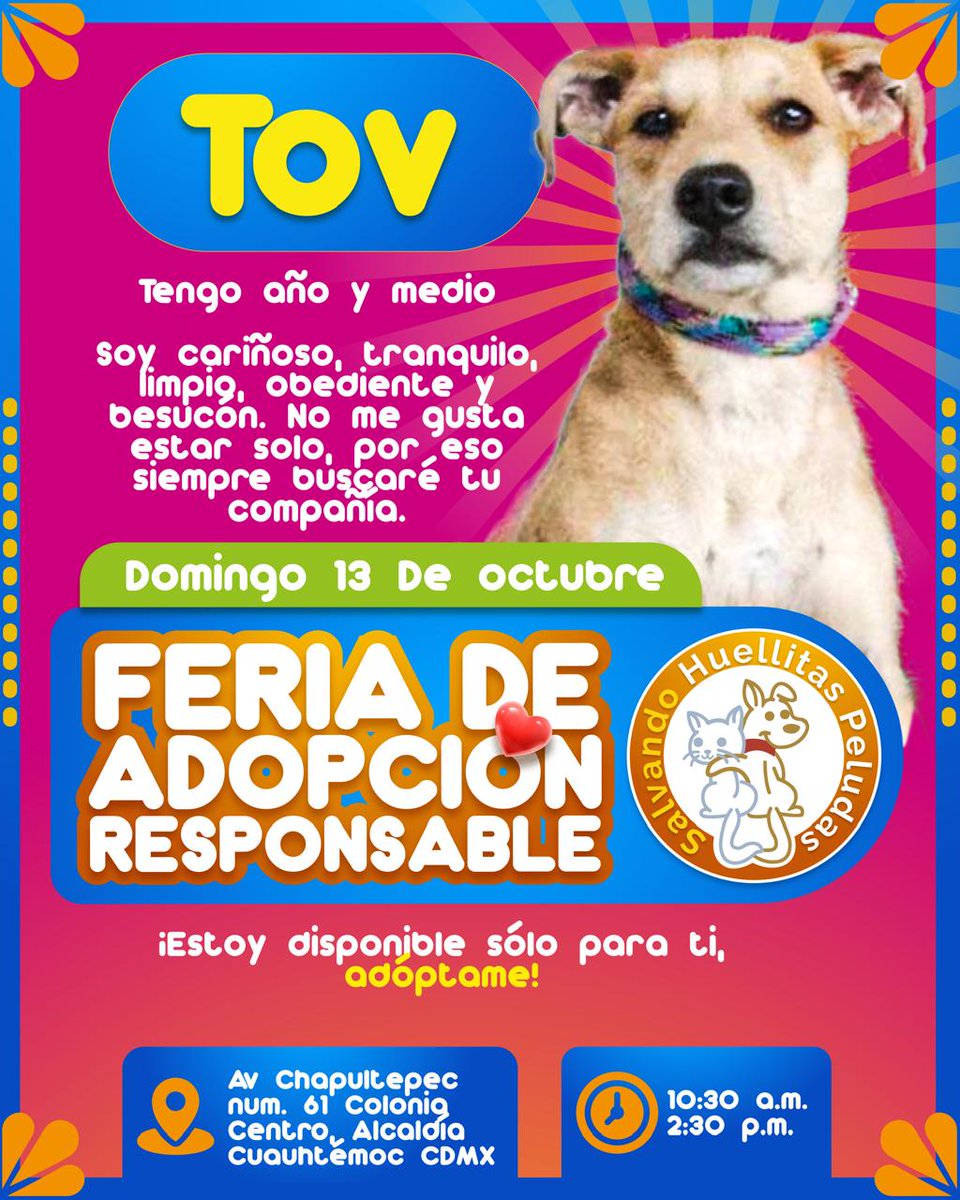 Horacitu's tweet photo. ¿Me ayudan con un retuit para que todos se enteren de la FERIA DE ADOPCIÓN RESPONSABLE?

🙏🙏🙏

#AdoptaNoCompres #adopcionresponsable https://t.co/O99TalKzQ0