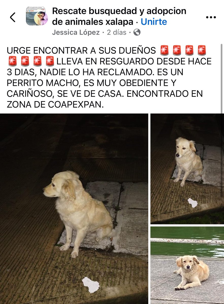 🐶  
<a href="/PacoDizfinck/">𝗣𝗮𝗰𝗼 𝗗𝗶𝘇𝗳𝗶𝗻𝗰𝗸</a> <a href="/pilykuera/">Pily Peregrina</a> <a href="/aasullegna/">Angie Triaz🙏🏽</a> <a href="/mageba04/">Gina alarcon</a> <a href="/anicienta_6/">Ana Pelaez</a> <a href="/tierraverde1943/">ℓια ₊˚.༄ *ﾟ🌱</a>  <a href="/marydebeck/">Maryde</a> <a href="/Mtra_Shaira/">Shaira</a> <a href="/Corintiacruz/">Corintia Cruz Oregón</a> <a href="/mayteponm/">Mayte P.</a> <a href="/CECILLIA36/">CECILIA MENDEZ</a> <a href="/RoxanaAAT/">Feto de PicaFresa🍓</a> <a href="/camellinlove/">Porque soy xalapeño</a> <a href="/PopColorsXal/">PopCX</a>  <a href="/fherciencias/">Soy Fher!</a> <a href="/Ydlan/">Naldy Patricia</a> #Xalapa  <a href="/VialidadXalapa/">Vialidad Xalapa 🚦 VX 🌎</a> <a href="/AbelMucino/">Abel Muciño</a> <a href="/sara_juarez/">saraliz</a> <a href="/MitziArias_/">Mitzi Arias</a> <a href="/rociosaiz/">Rocio Saiz</a>