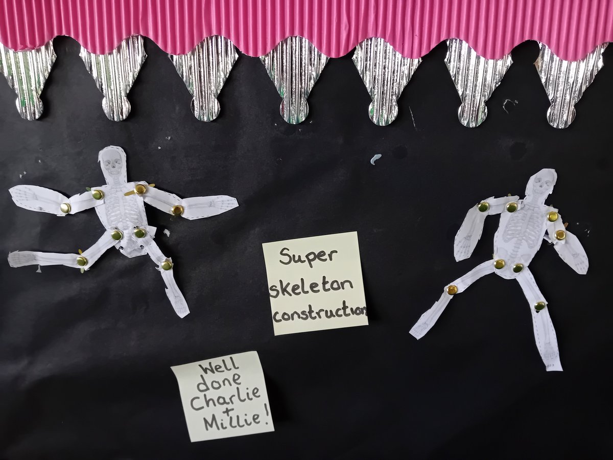 whcps's tweet photo. As scientists, Year 3 have been exploring our new unit of Movement and Nutrition. We've looked at various joints in the body, making split pin skeletons. Well done to Charlie and Millie (3EB) and Grace and Harry K (3HK) who've made our excellence boards! #whcyear3 #whcscience https://t.co/0wtLT90Wo2
