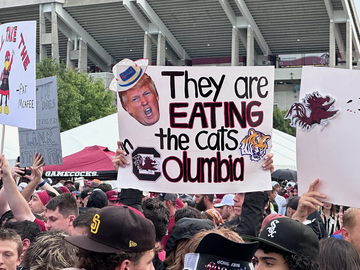 Mark Silvers tweet media