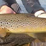 Photo by Phil Ratcliffe (@PhilFlyFishing)