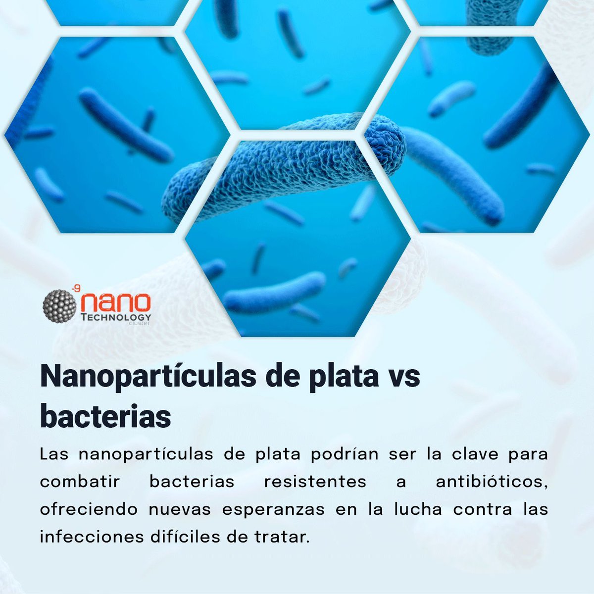 clusternano's tweet photo. Un estudio investiga el uso de nanopartículas de plata como una herramienta eficaz para combatir bacterias resistentes a los antibióticos. Estas partículas extremadamente pequeñas tienen la capacidad de destruir las membranas celulares 

Conoce más en: https://t.co/mBjJrw2pal https://t.co/iQpQqAx0I7