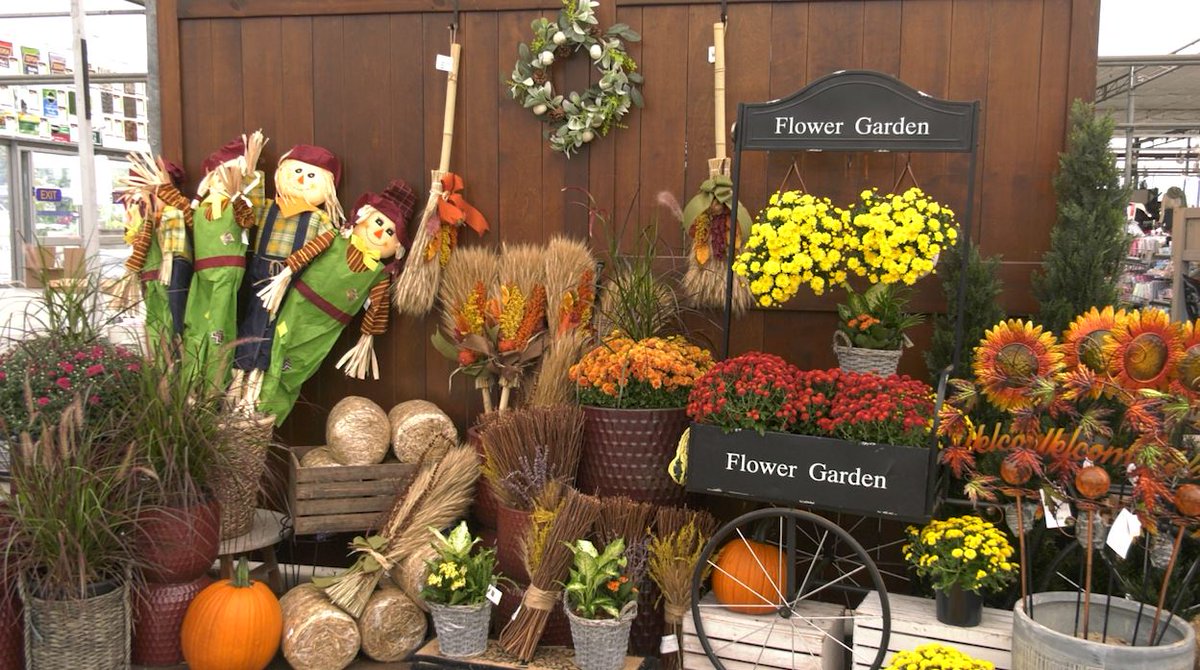 Rachel Schoutsen TWN (@rachelschoutsen) on Twitter photo We are answering your #FallGardening questions on #WeatherAM today! Big thanks to #TerraGreenhouses for hosting us <a href="/nadinehp4/">Nadine Powell TWN</a> We are answering your #FallGardening questions on #WeatherAM today! Big thanks to #TerraGreenhouses for hosting us <a href="/nadinehp4/">Nadine Powell TWN</a>
