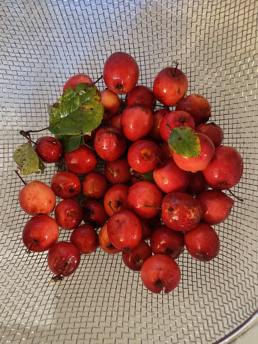 Piano-Forte 1805 tweet media