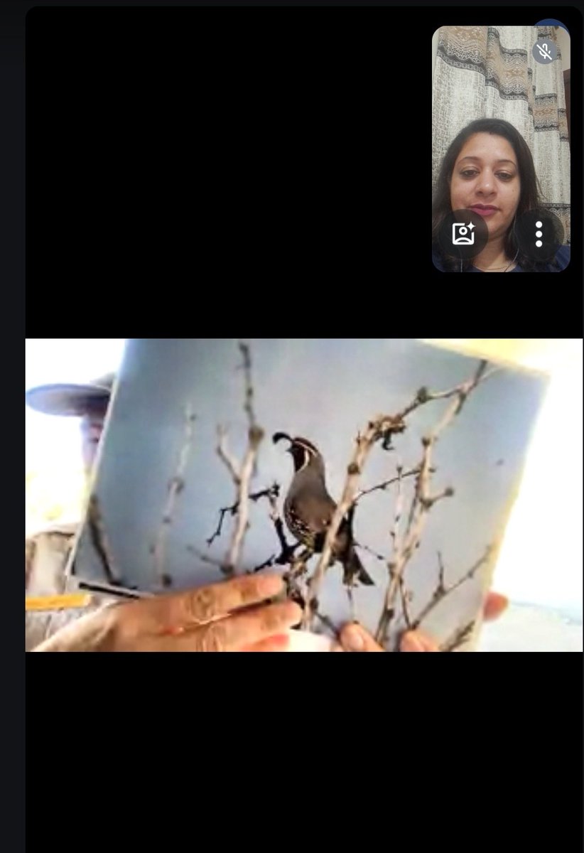 #jaushasatenatioalparks
Attend session about jousha trees Wondnerful experience for us 🙃🙃 <a href="/NationalParksX/">National Parks | USA</a> 
<a href="/cbseindia29/">CBSE HQ</a>