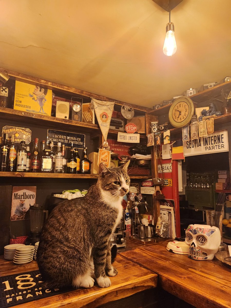 WanderingHartz's tweet image. Bar hopping with friends in Brasov Romania. 🍻