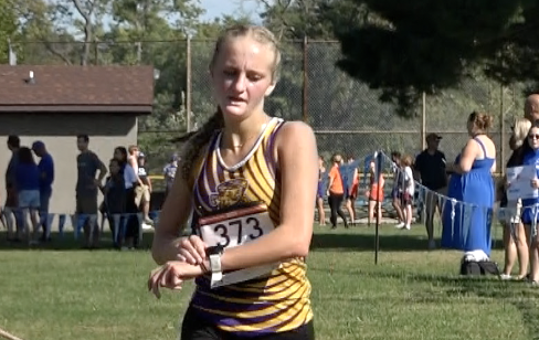 Channel1450com's tweet photo. Rochester Girls Win Team Title at Lanphier Invite as Zeibert and Taylorville’s Bettis Lead Local Finishers:
https://t.co/EuzoCJtV3F https://t.co/iuznfQ0wM1