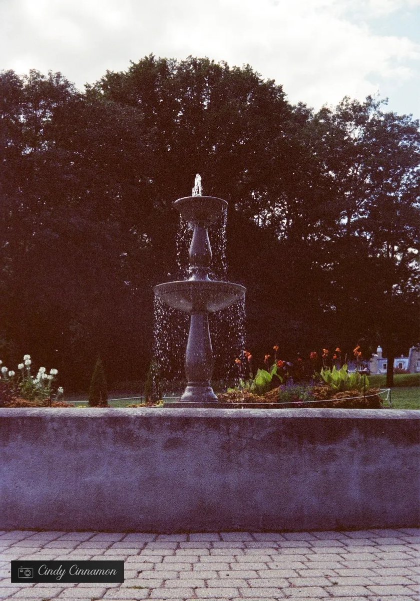 Cindy_Cinnamon's tweet photo. Qu’est-ce que cette photo vous inspire? 

Cindy Cinnamon Photographie
https://t.co/g7SV9JrYvu
Rollei B35
Flic Film Vision3 500T 

#FilmPhotography #KodakVision3 #ECN2 #Classic #Rollei #RolleiB35 #35mm #FilmCommunity #FlicFilm #FlicFilm #Kodak #Vision3 #Vision3500T #Quebec #Canada https://t.co/K9oOu9GhAB