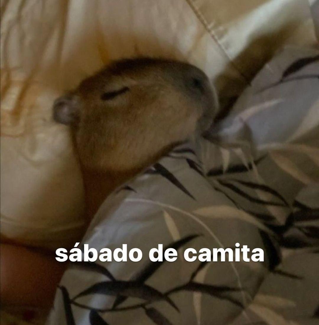 En Júpiter (@en_jupiter_) on Twitter photo 