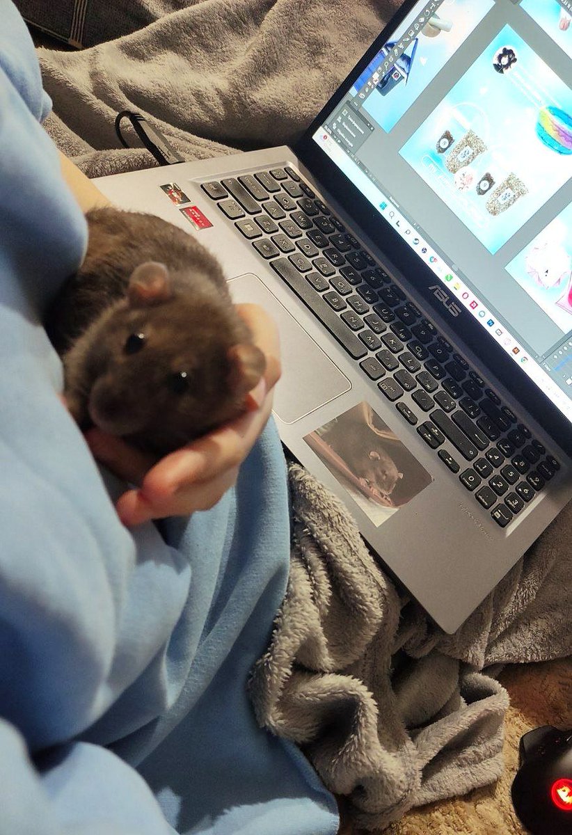 Готуємося до лотерейки 😁
Буді контролює процес, щоб все було гарно та якісно