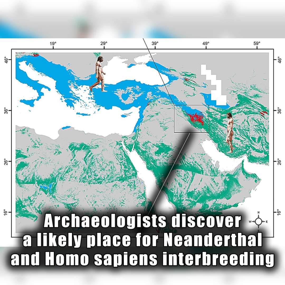 A recent archaeological study has pinpointed the Zagros Mountains on the Persian Plateau as a probable region where Neanderthals and Homo sapiens interbred during the Late Pleistocene era, around 50,000–60,000 years ago. The area's unique position at the border of two major