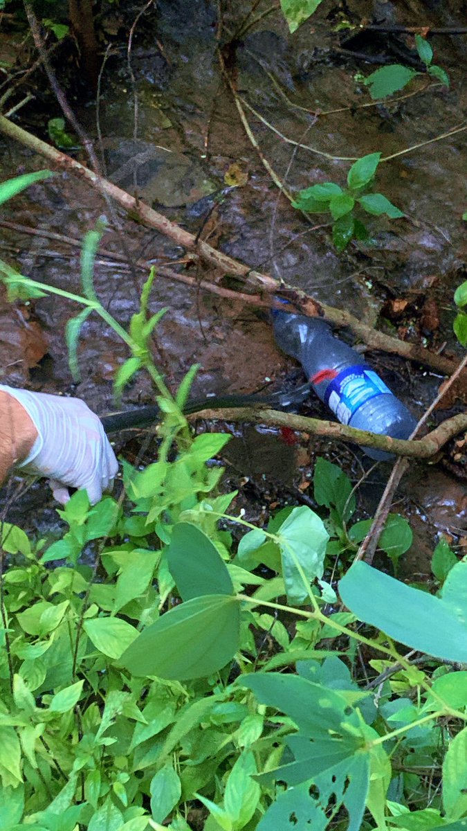 Poke Plastic tweet media