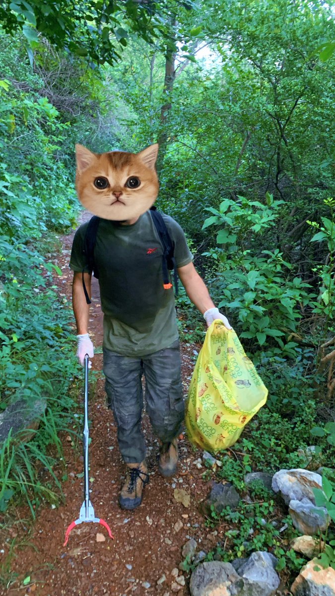 Poke Plastic tweet media