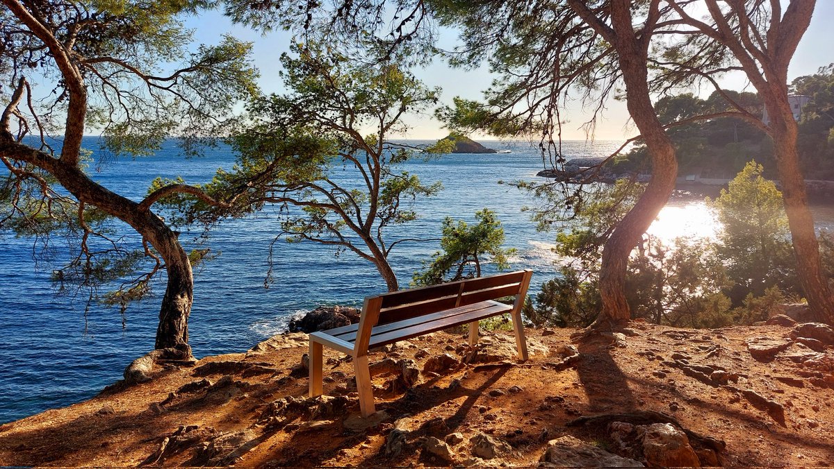 #Bandol
(mon coin lecture)