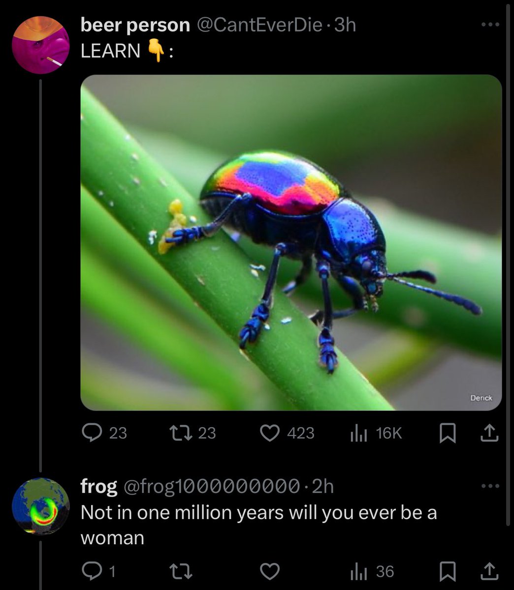 CantEverDie's tweet photo. they’re transvestigating beetles now https://t.co/d3P7LtA1IA