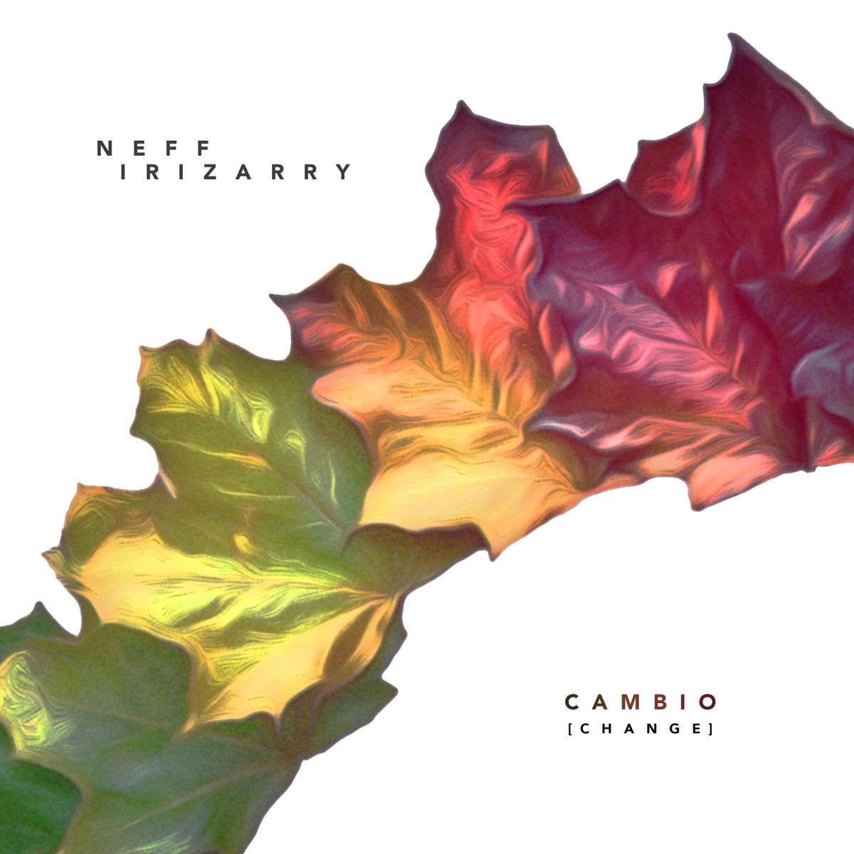 Latin Jazz Guitarist <a href="/neffirizarry/">Neff Irizarry</a> releases a wonderful album titled, "Cambio (Change)". Now available wherever you get your music! #Jazz #LatinJazz bluecanoerecords.com/Cambio.html