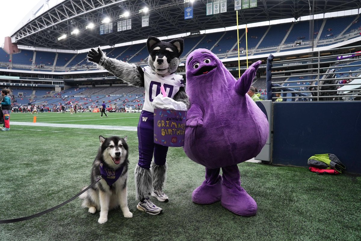 UWAthletics's tweet photo. Grimace is in the building!

#GoHuskies https://t.co/n3FIjd7X3d